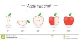 Creative Apple Fruit Chart Stock Vector Illustration Of