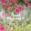 See more ideas about happy earth, earth day, earth. Https Encrypted Tbn0 Gstatic Com Images Q Tbn And9gcsxx3bh9jepbrral9 Fvf Jlywhr3zdffx3pbizqmq Usqp Cau