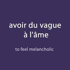 Frederic From Talk In French On Instagram French Expression Of The Day Avoir Du Vague A L Ame To Feel Mela Learn French French Expressions French Language