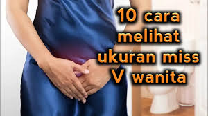 Oleh iqbal hakimdiposting pada agustus 7, 2019november 16, 2020. 5 Jenis Vagina Yang Membentuk Semua Vagina Di Dunia 2021