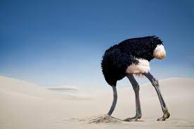 Maybe you would like to learn more about one of these? Ostrich Head In Sand Do Ostriches Really Bury Their Heads