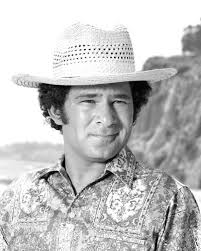 Stuart Margolin Love, American Style Posters and Photos 193130