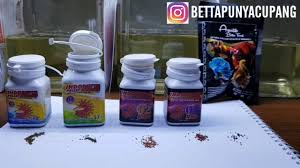 Review Pelet Ikan Cupang Indo Betta Pelet Monster Aqualife Betta Food Pk Bit Deo Super Betta Youtube