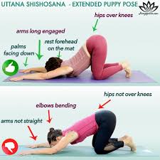 Uttana Shishosana Extended Puppy Pose Puppy Pose Exercise Form Poses