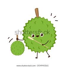 Download this premium vector about durian cartoon holding a stop sign, and discover more than 12 million professional graphic resources on freepik. Shutterstock Puzzlepix