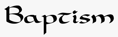 We've scoured the internet for you and compiled 35 of the most beautiful and useful fonts to use in your marketing. Baptism Logo Calligraphy Font Calligraphy Hd Png Download Kindpng