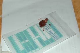 Ia dipercayai membantu lelaki menjaga kawasan itu bersih. Bilik Permata Hati From My Little Home Page 4