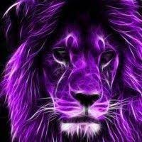 How To Deal With Grief This Reply Is Incredible That Eric Alper Lions Photos Lion Wallpaper Lion Art
