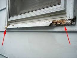 Replace A Wood Window Sill To Fix Rot Damage Wood Window Sill Wood Repair Wood Windows