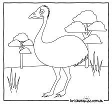 See more ideas about australia day, coloring pages, australia. Australian Animals Colouring Pages Brisbane Kids