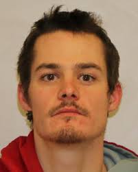 Wellsville Regional News (dot) com: Wellsville man arrested for DWI in Scio