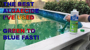 Here, i'll explain how to use a little elbow grease to get algae of out your pool is there really algae in my pool? Kill Pool Algae In 24 Hours The Best Algicide I Ve Ever Used Youtube