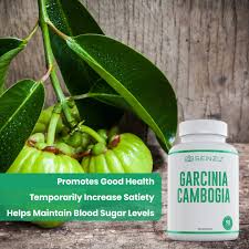 Image result for Garcinia volkensii