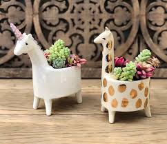 Closed Winner Announced In Story Tgif Means Giveaway To Us Enter To Win Two Of Our Newest Pots W Ceramic Flower Pots Pottery Plant Pots Flower Pots