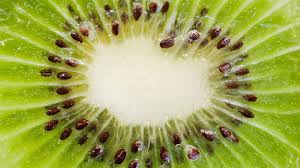 Check spelling or type a new query. The 12 Best Fruits To Eat On A Low Carb Diet Everyday Health