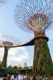 Singapore Through The Eyes Of A Child Asia Travel Incredible Places Travel Destinations Asia