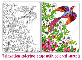 Leader français des loisirs créatifs, activités manuelles et diy depuis 2005. Des Fleurs Et Des Oiseaux Decoratifs Livre A Colorier Pour Les Adultes Et Les Enfants Plus Ages Coloriage Avec Un Echantillon De Couleur Dessin Au Trait Vector Illustration Clip Art Libres De
