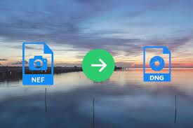 How To Convert Nef To Dng For Further Editing And Best Alternative Nikon Dslr Solutions Converter