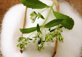 Estas deliciosas hojas verdes son plantas que curan la diabetes realmente ricas en minerales, vitaminas y fibra. 6 Plantas Medicinales Para Bajar El Azucar