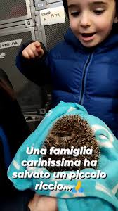 Centro Recupero Ricci...