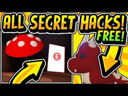 How to get the steal button in adopt me. Secret Hacks Glitches In Adopt Me 2020 Adopt Me Secrets Working Plus Free Fly Potions Roblox Youtube