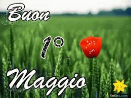 Download immagine 1 maggio su lovepik，per il download gratuito 13000+ immagini: Gif Buon Primo Maggio Gif Su Engiel Com
