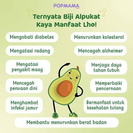 Biji Alpukat