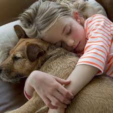 Thank you for reading the post. National Love Your Pet Day February 20 2022 National Today