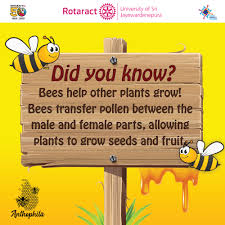 It takes more than planting seeds or plants to grow crops. Anthophila Posts Facebook