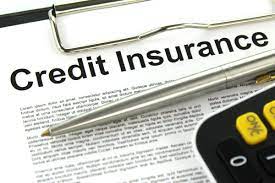 Decide whether to accept the judgment. Credit Default Insurance Definition
