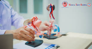 Importance of Urological | Check-ups for Men and Women