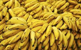 Perhaps even start your own decomposition experiment at your house. Speed Of Decomposition Banana Biology Decomposition En Experiment Of Science Speed Glogster Edu Interactive Multimedia Posters