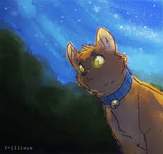 Warrior cat memes warrior cats fan art warrior cats books warrior cat drawings serval cats herding cats cat couple love warriors cat character. Warrior Cats Animation Memes Page 1 Line 17qq Com