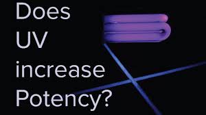 Does Adding Uv Light To Your Grow Improve Potency Is Uv Light Good For Plants Youtube