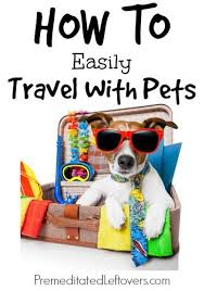 How To Easily Travel With Pets Pet Travel Dog Travel Pets