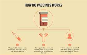 Maybe you would like to learn more about one of these? Covid 19 Vaccines Infographic Overview Features Nature Middle East