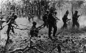 3 by chris lynch ‧ release date: Poem And Pictures Of Life In The Free Fire Zone Of Fighting In The Vietnam War Humping The Boonies Scenes Of Combat In The Life And Death Struggle That Is Vietnam