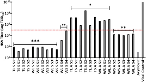 Image result for Helichrysum aureo-nitens