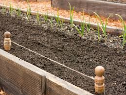 Our hoss tools row maker is the ideal tool for making multiple planting furrows in a single pass. Garden Dibbers Row Markers Le Jardinet