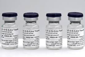 By nathan jeffay, the times of israel july 25, 2021 < 1 minute. Israeli Covid 19 Vaccine Developer Inks Deal To Complete Trials Commercialize Jab