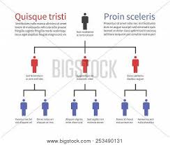 pyramid hierarchy vector photo free trial bigstock