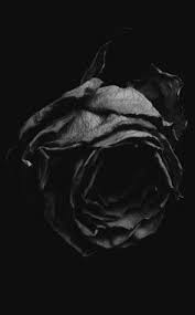 Find & download the most popular black photos on freepik free for commercial use high quality images over 8 million stock photos. 39 Cool Black Stuff Ideas Black Shades Of Black Black Beauties