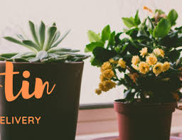 Hours may change under current circumstances The 9 Best Options For Flower Delivery In Olympia Washington 2021