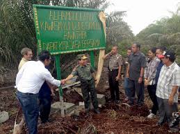 On trustpilot we are allowed to post honest reviews! Aceh Unveils Protected Area In Beleaguered Tripa Peat Swamp