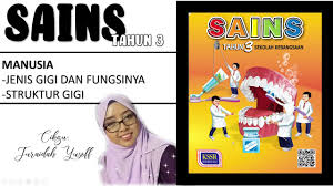 Sains tahun 3 set gigi manusia youtube. Sains Tahun 3 Jenis Gigi Dan Fungsinya I Struktur Gigi Youtube