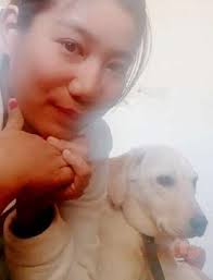 Check spelling or type a new query. Pet Taxi In Pune With Best Prices On Petbacker
