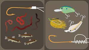 Check spelling or type a new query. Bait Fishing Versus Lure Fishing Fix Com
