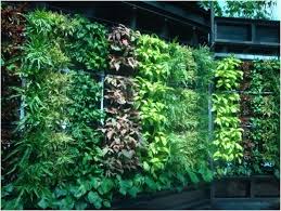 Falikert Keszitese Muanyag Ladakbol Vertical Garden Vertical Garden Diy Vertical Herb Garden
