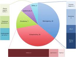 A Bar In Pie Chart Demonstrating The Diagnosis And Primary