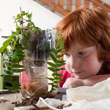 Workshops and Worship